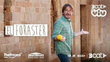 ElForaster%2520352x198px